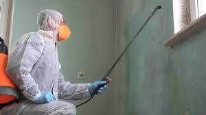 Best Biohazard Mold Removal  in Pittsburg, KS