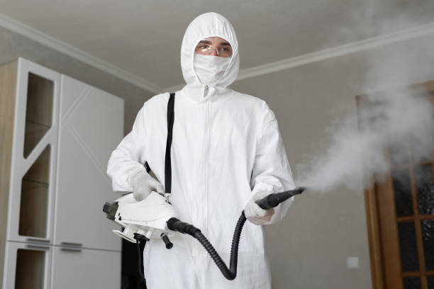 Best Mold Remediation for Healthcare Facilities  in Pittsburg, KS