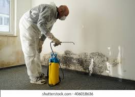 Best Residential Mold Inspection & Testing  in Pittsburg, KS